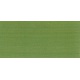 0008 kiwi