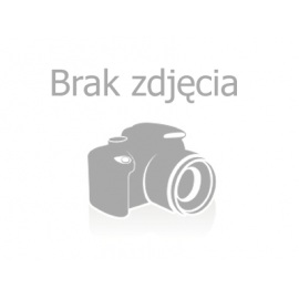Leinos 610 Profi-Grunt kwarcowy wypełniający